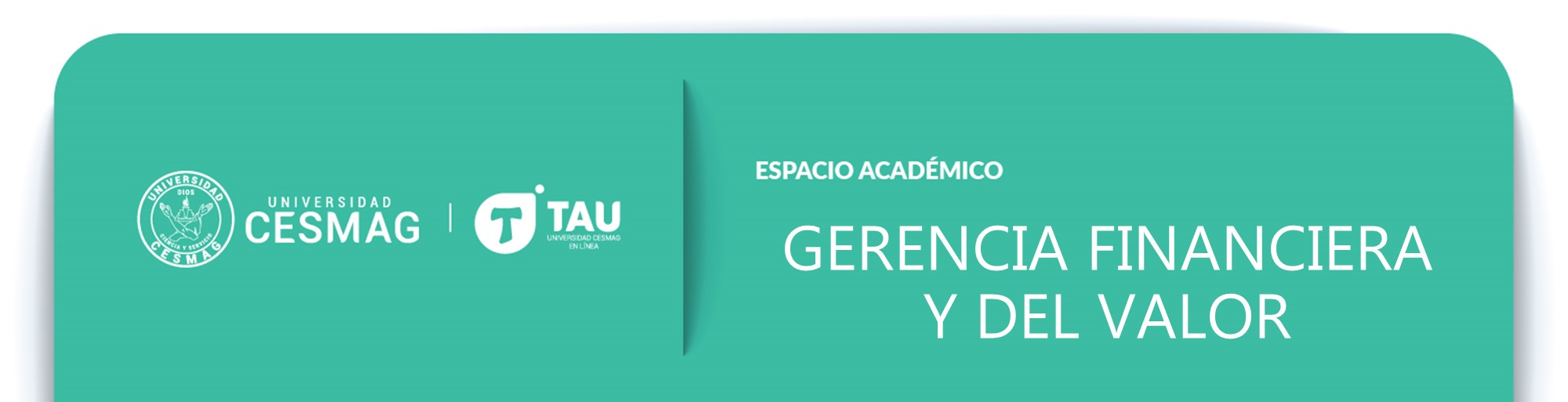 GERENCIA FINANCIERA Y DEL VALOR (Grupo: 10-A-M)