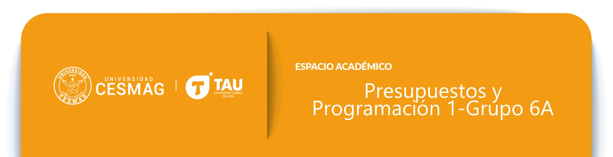PRESUPUESTO Y PROGRAMACIÓN I (Grupo: 6-A-M)