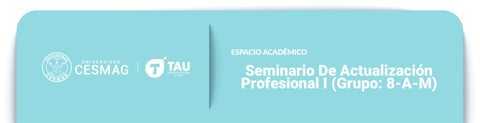 Seminario De Actualizacion Profesional I (Grupo: 8-A-M)