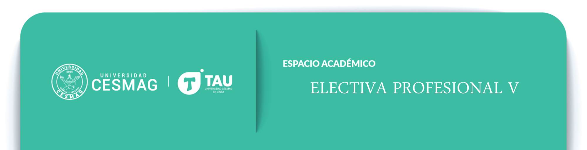 Electiva Profesional V - Procedimiento Tributario (Grupo: 9-E-N)
