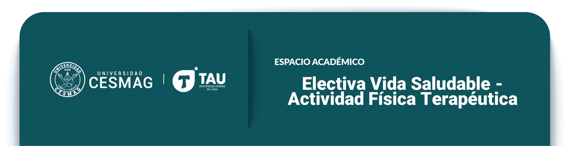 Electiva Vida Saludable  - Actividad Física Terapéutica (Grupo: 4-B-M)